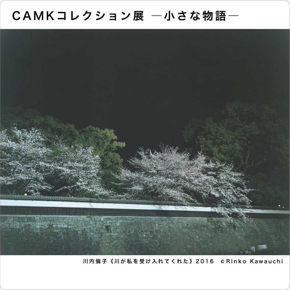 CAMK Collection: Small Stories