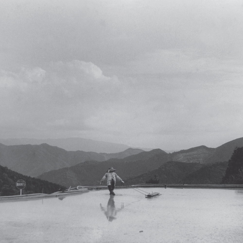 Toyoda Yuuki photography exhibition Signs of Life / The July 2020 Heavy Rain REBORN Project