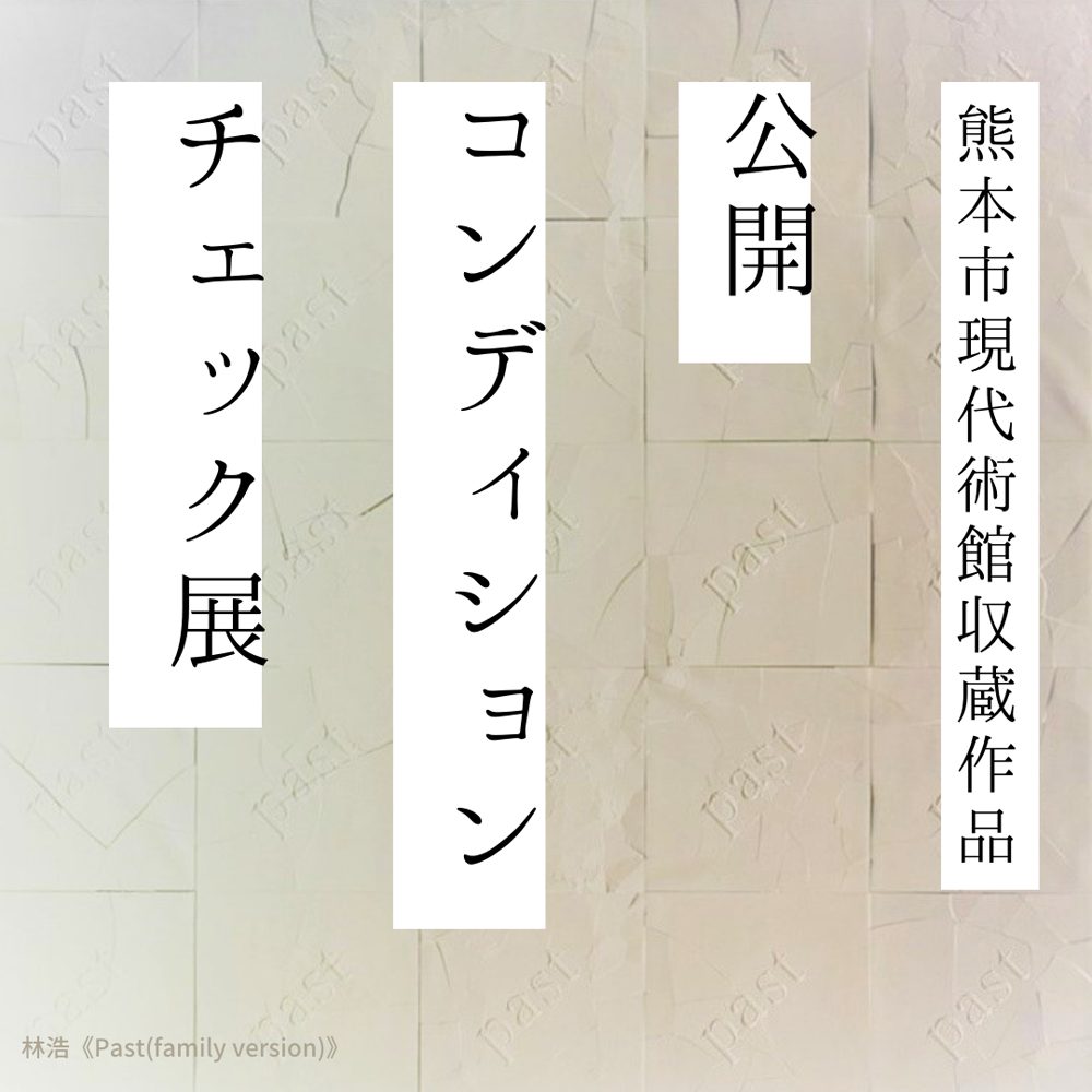 The Disaster-Affected Works Public Condition Check (5th)　from CAMK Collection