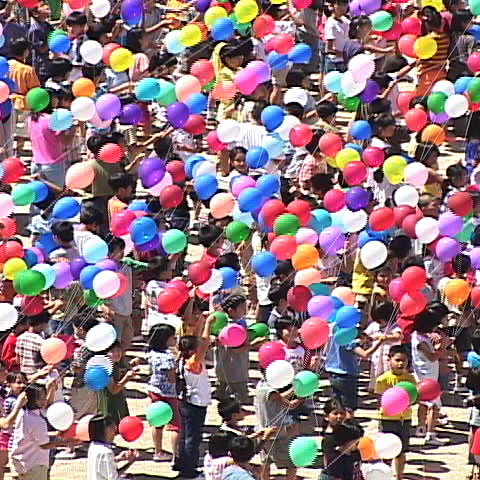 CAMK Screening Vol. 2 Koki Tanaka