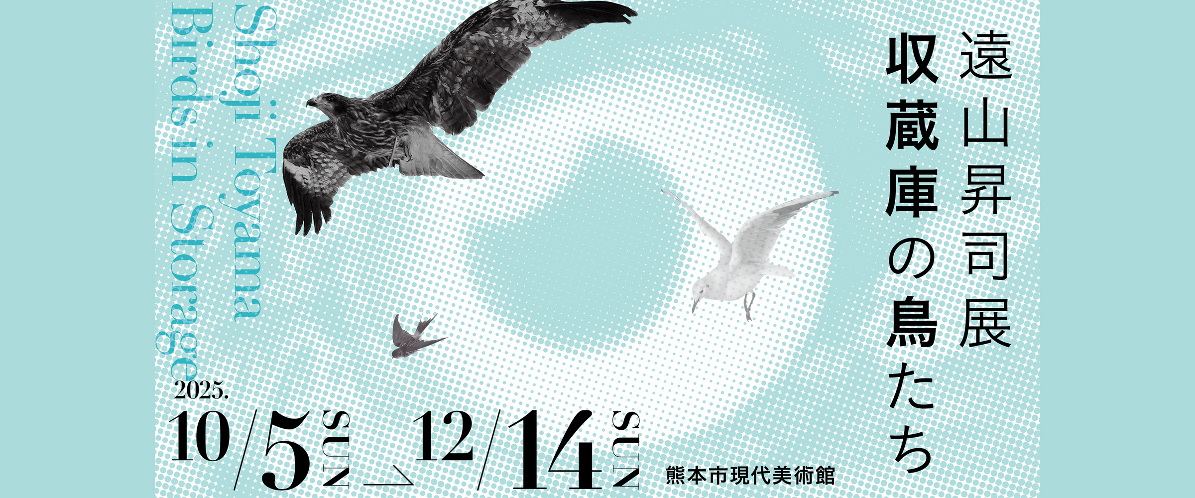 遠山昇司展 収蔵庫の鳥たち