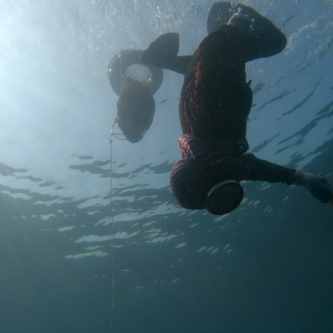 CAMK Screening Vol. 1 Yamauchi Terue