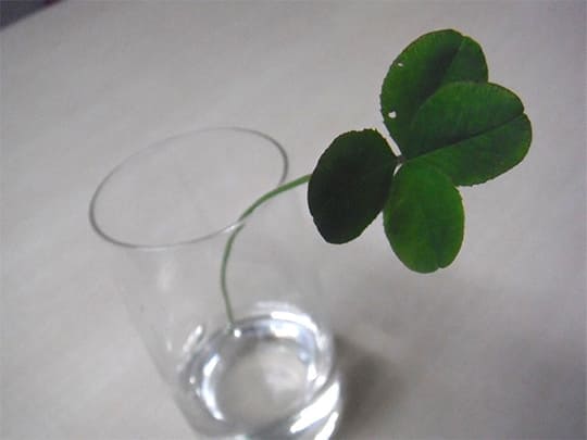 地震から10年 心が動いたエピソード例