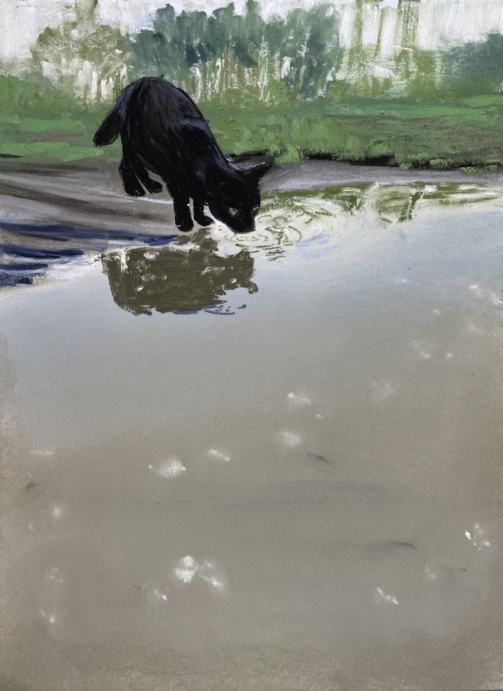 水たまりの水を飲むシャネル