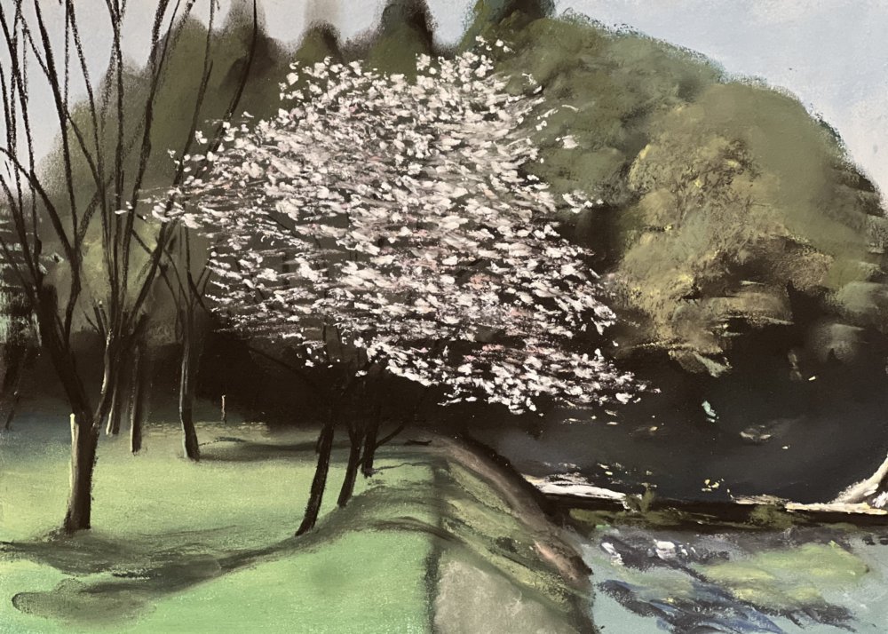 西原村の桜