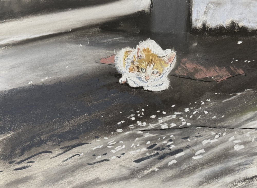 丸島漁港の小さい野良猫